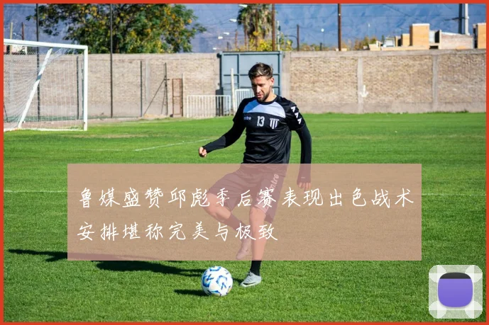 鲁媒盛赞邱彪季后赛表现出色战术安排堪称完美与极致